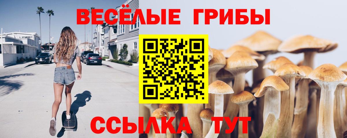 Псилоцибиновые грибы ЛСД  Псилоцибиновые грибы прущие грибы  Вход с VPN  Моздок 